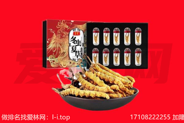 昭通鲁甸县回收虫草.jpg